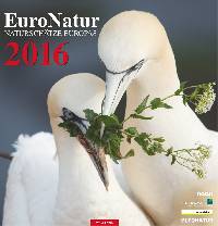 Kalender 2016