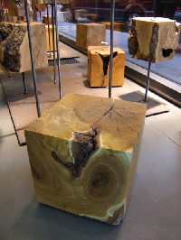 Würfel aus Massivholz Natur Holz Visionen